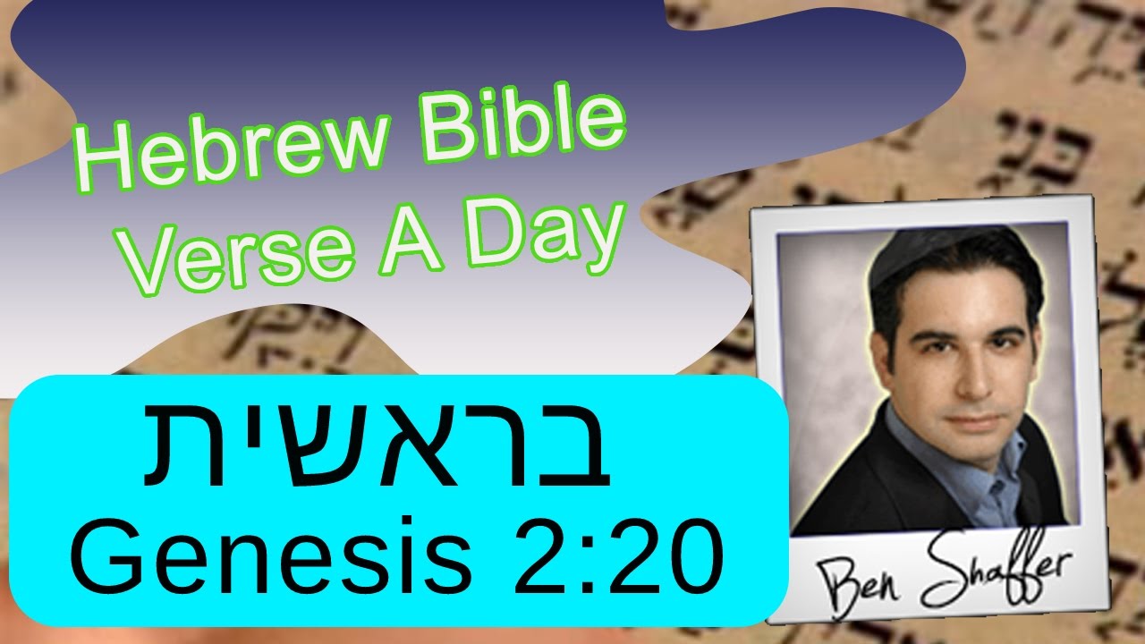 Who Named The Animals? - ( Not God) Genesis/Bereishit 2:20