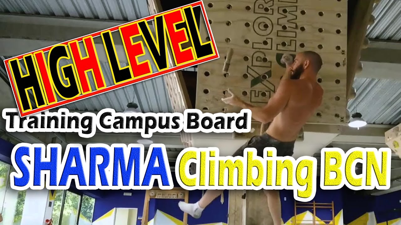 TRAINING CAMPUS BOARD in Sharma Climbing Bcn