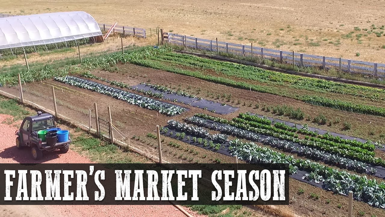 Farmers Market Season