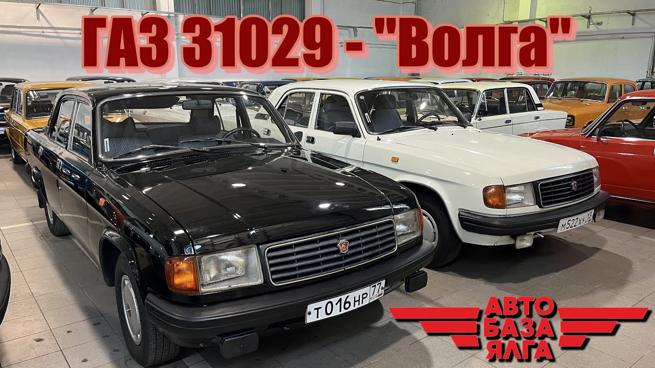 ГАЗ 31029 - 