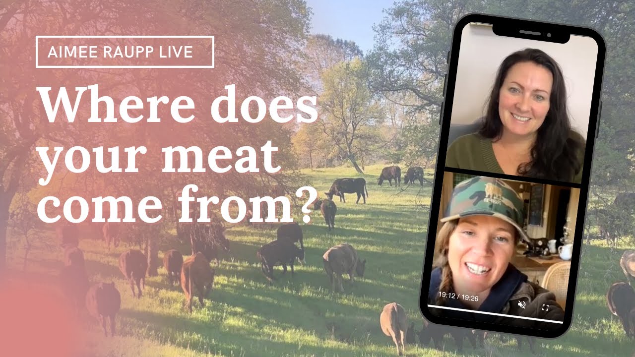 Why Your Beef Needs To Be Pasture-Raised