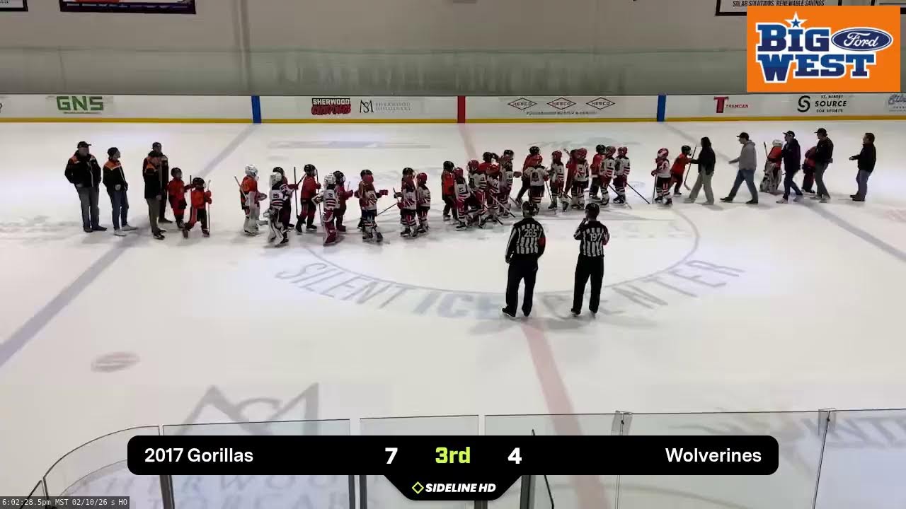 2017 Gorillas @ Wolverines (2026.02.10)