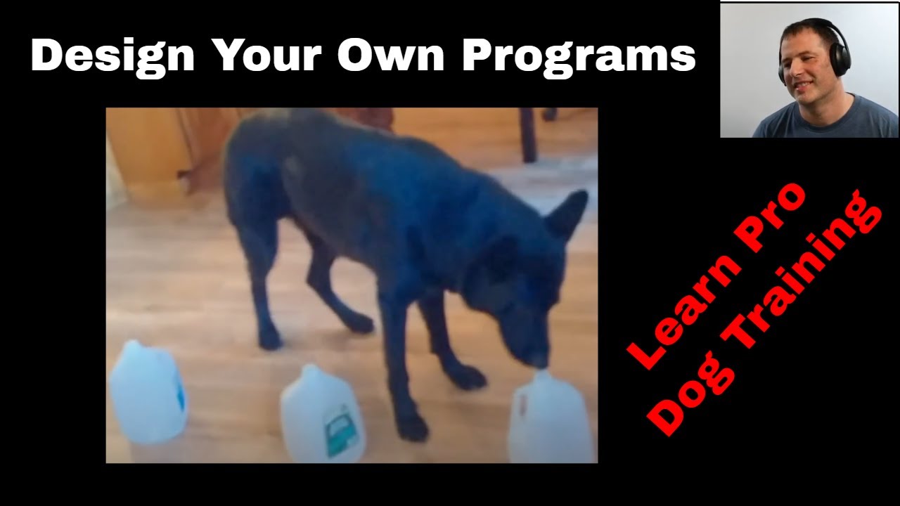 Interval Schedules of Reinforcement for Pro Dog Trainers (K9-1.com)