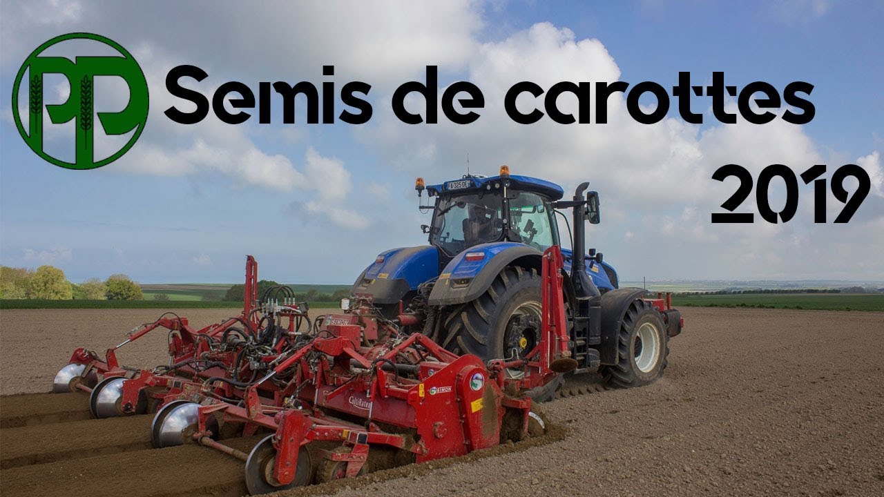 SEMIS CAROTTES 2019