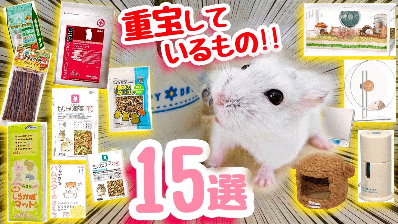 【15個】ハムスター飼育で重宝しているグッズ