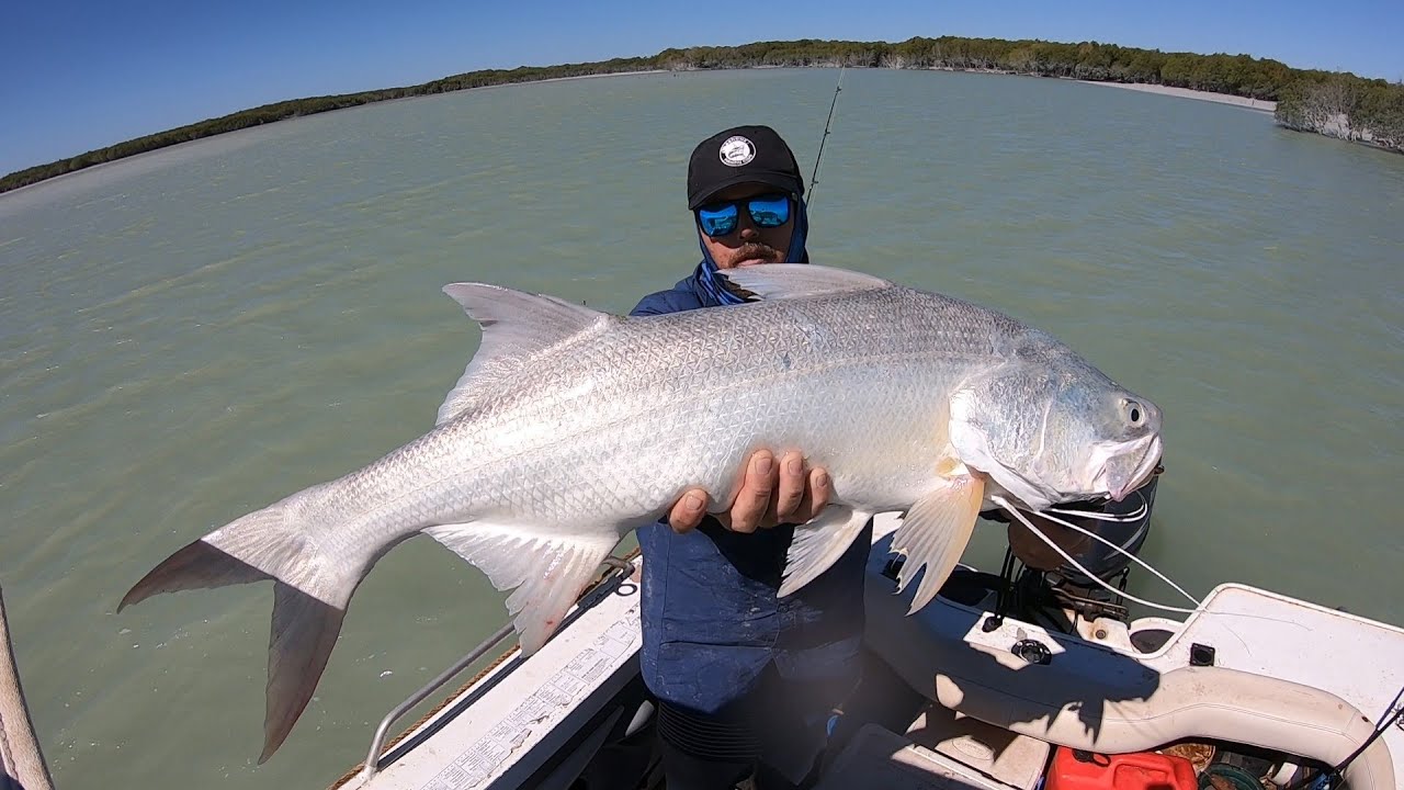 Ocean Addict Ep4 - Salmon (Giant Threadfin) fishing- shark bites my fish in half