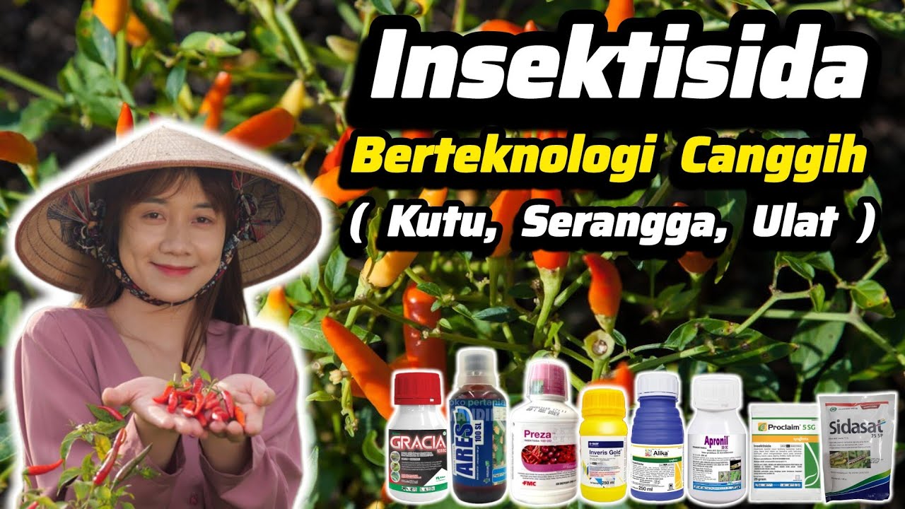 ♻️ Insektisida Yang Sudah Berteknologi Translaminar Untuk Basmi Hama Ulat, Kutu, Serangga, dll ♻️