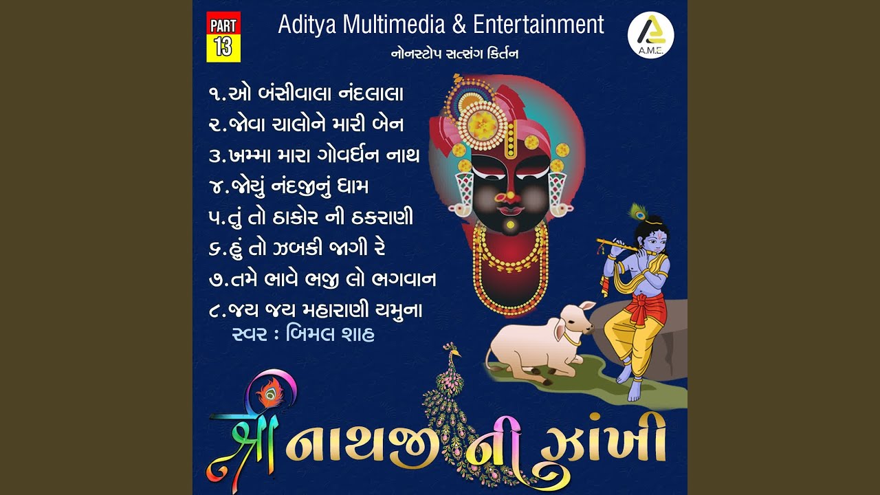 Shrinathji Ni Zankhi-Nonstop Satsang Kirtan Part 13