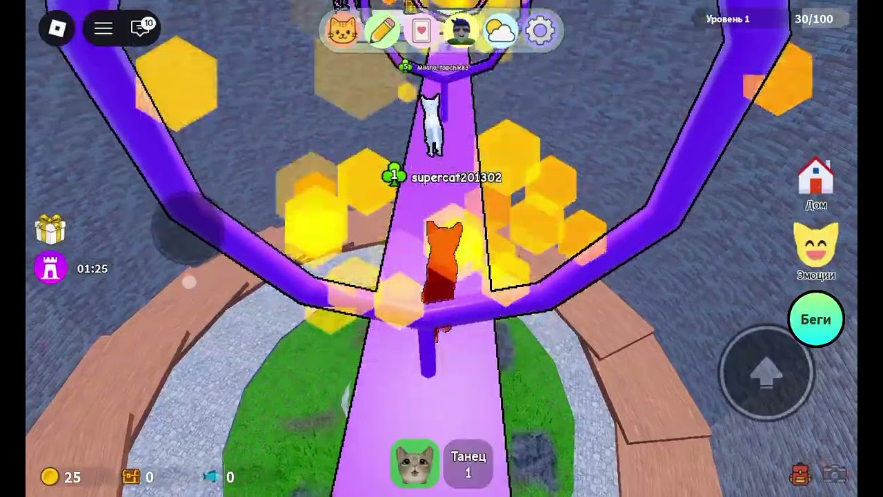 Я играю в роблокс. Game kitty 