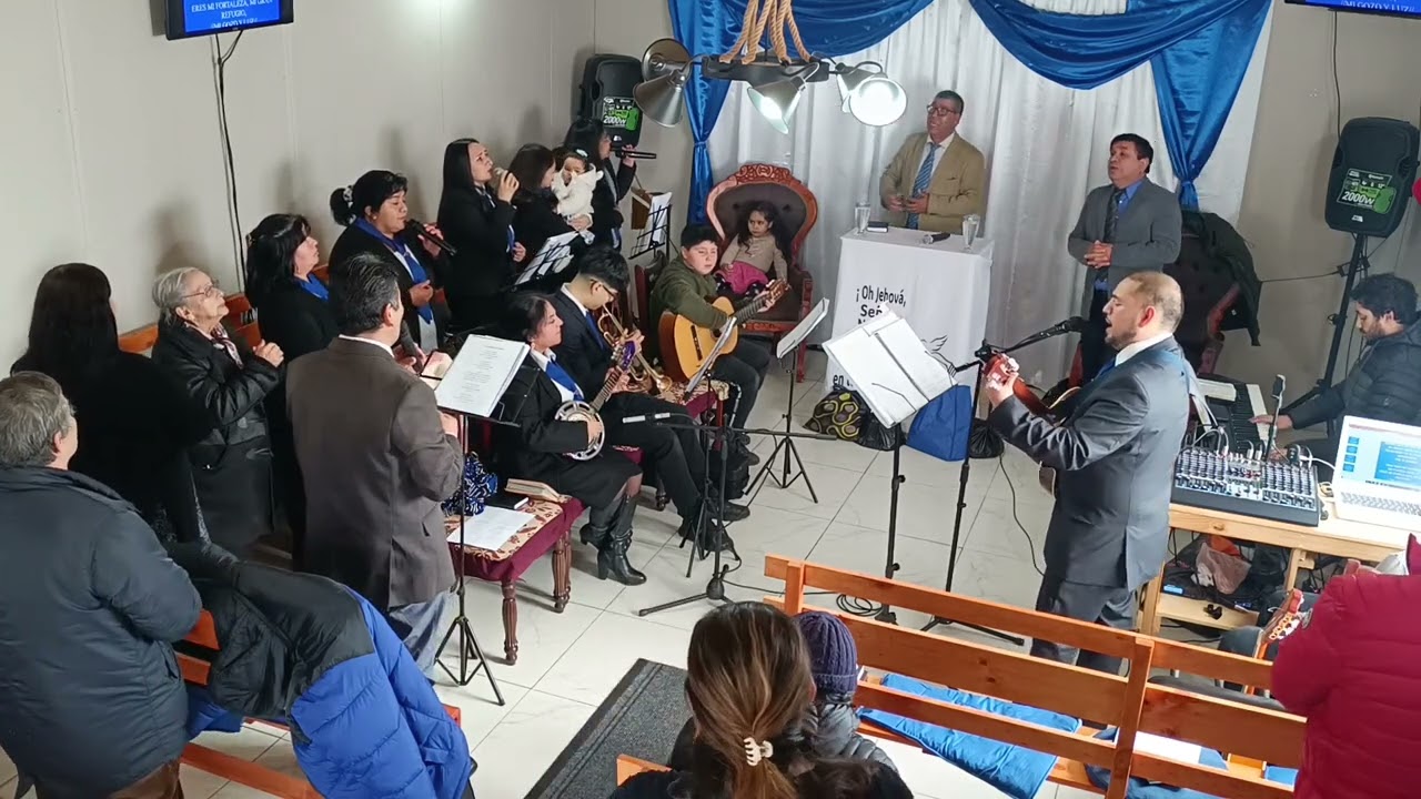 Vagando en soledad