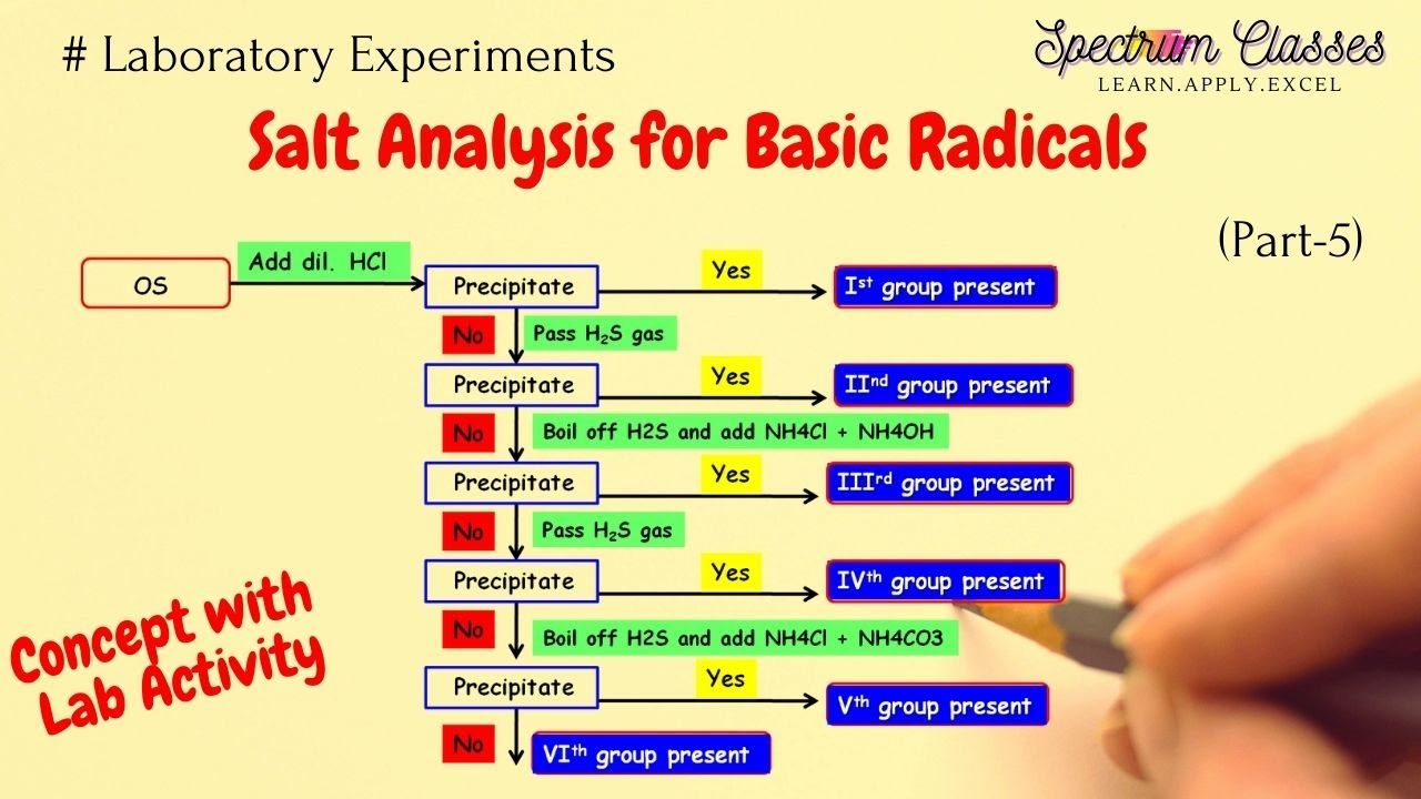 Wet test for Basic Radicals | Original Solution| Lab Activity|12, B.Sc, M.Sc, IITJEE, NEET