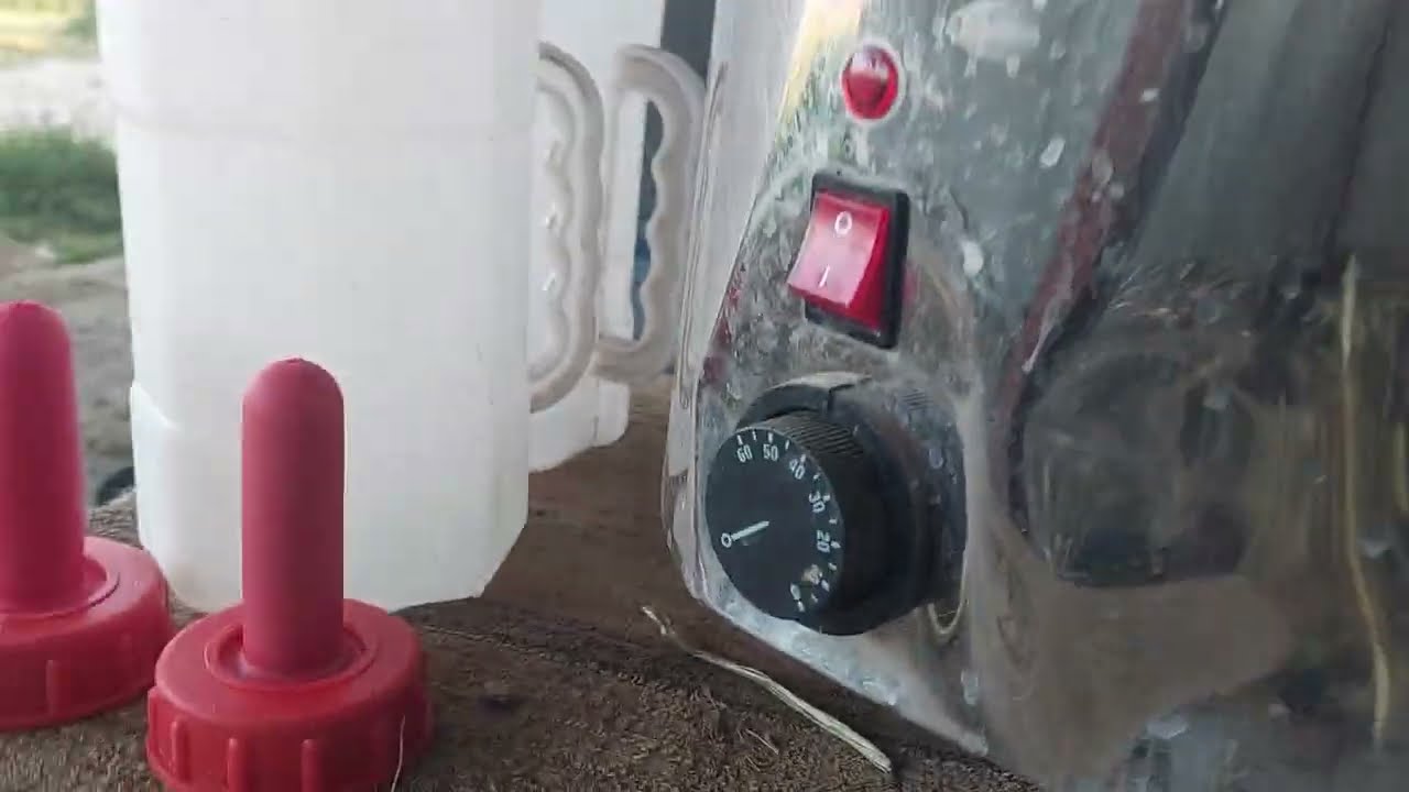 BUZAĞA BESLEME YUMURTA #SÜT TOZU MAMA ÖNEMİ, HAZIRLANMASI