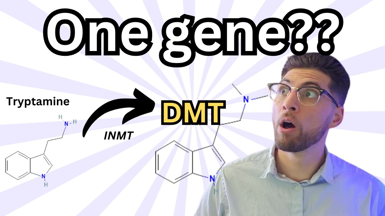 How to Make DMT with Bacteria | Journal Club