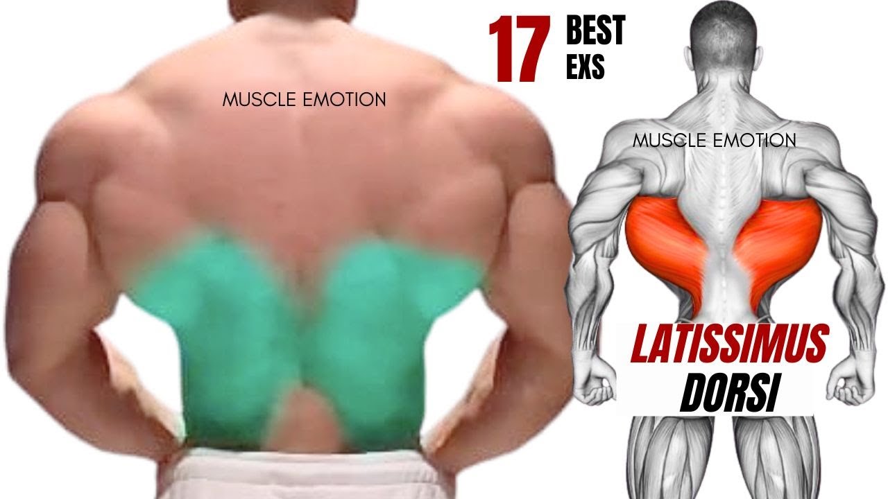 17 BEST  LAT WORKOUT WITH DUMBBELLS BARBELL AND CABLE ONLY AT GYM