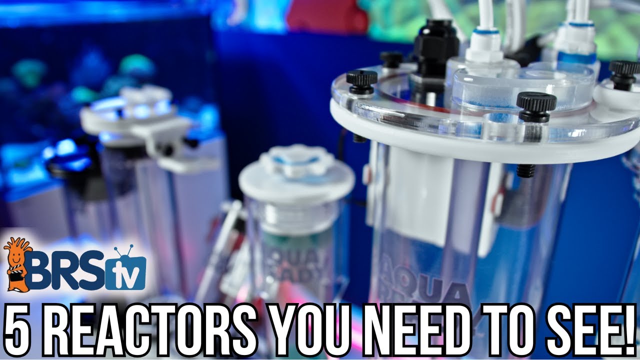 Hang-On, In-Sump, Internal – AquaReady Has a Reactor for Every Tank!