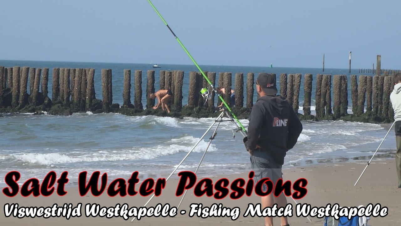 Viswedstrijd Westkapelle Strand 2016 - Sea Fishing Match Westkapelle Beach - Salt Water Passions