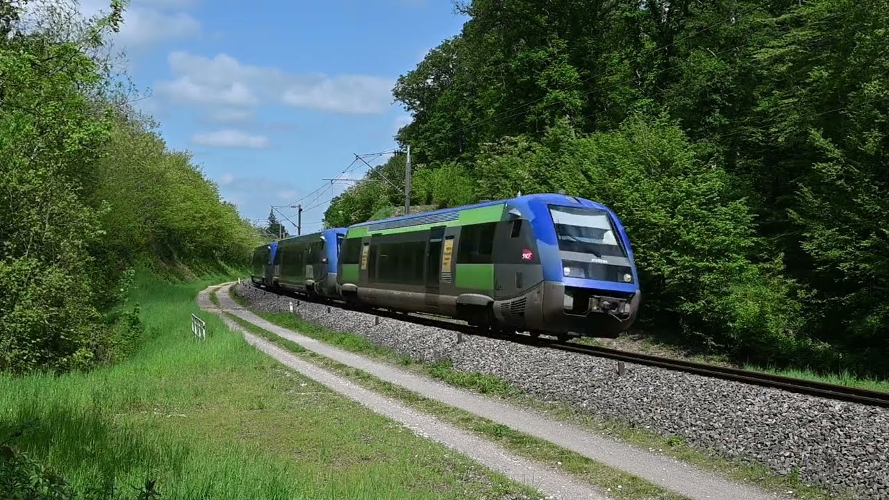 Trainspotting en Forêt de Chaux - BFC - mai 2024