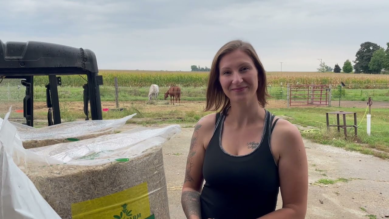 HOW TO: Properly Bed a Stall Using 100% Wheat Straw - Superior Straw Chopped + Bedding Pellets