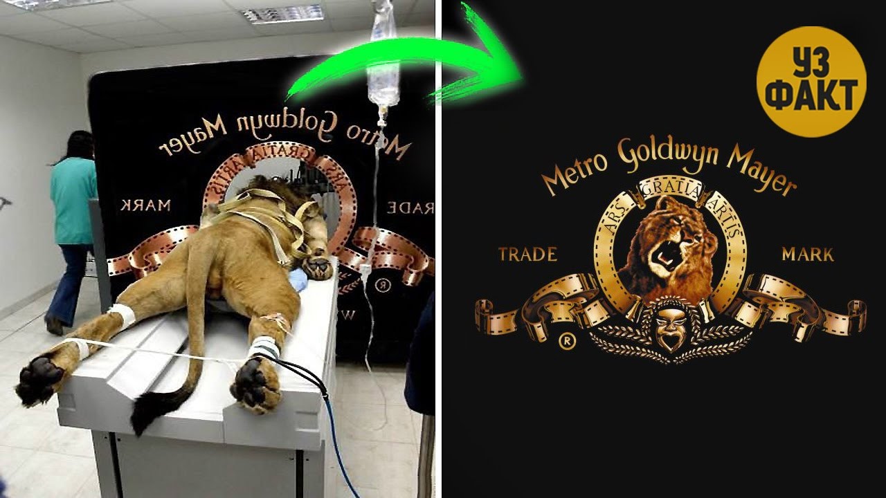 5 TA KINOSTUDIYANING LOGOTIPINI KELIB CHIQISH TARIXI
