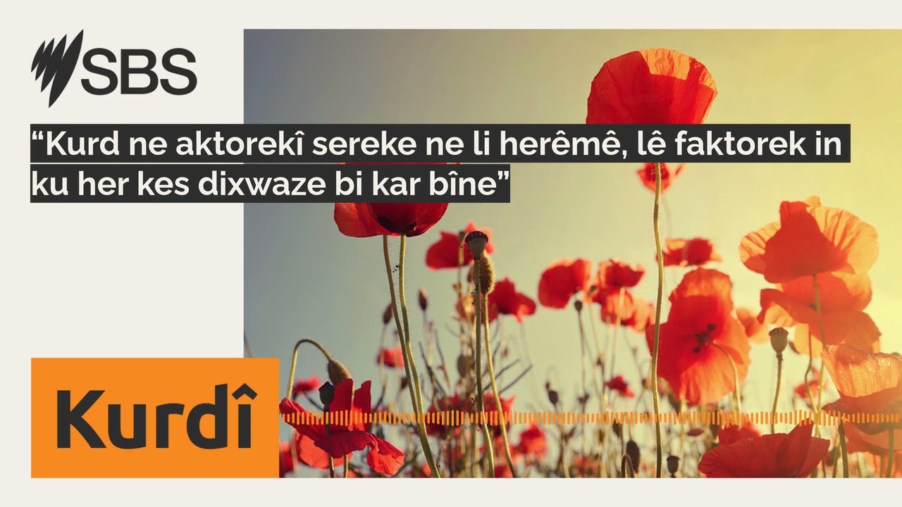 “Kurd ne aktorekî sereke ne li herêmê, lê faktorek in ku her kes dixwaze bi kar bîne” | SBS...