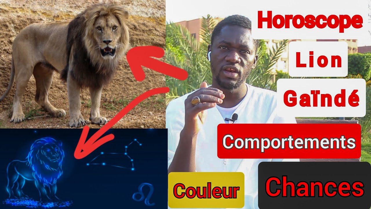 Ce Marabout traduit Horoscope Lion, niit bou am mélo Gaindé,son comportement,ses chances, sa couleur