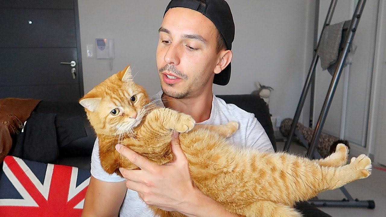 Si Youtube ne Fonctionne plus - LE TEMPS D'UN SHAKER #04