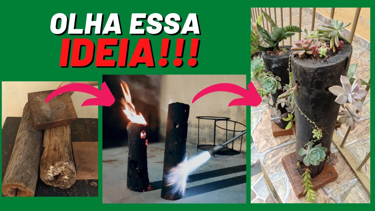 Arranjo de suculentas na madeira carbonizada
