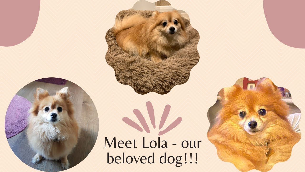 Met Lola 