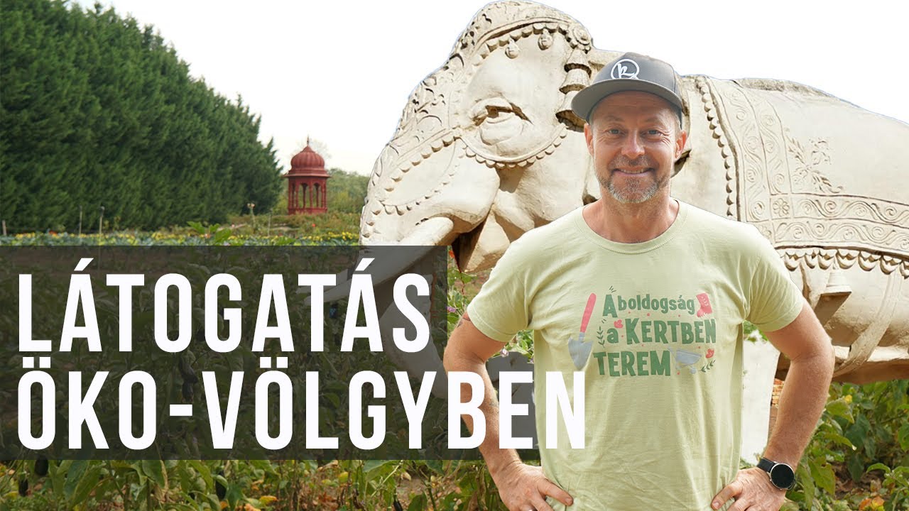 Látogatás a (majdnem) önellátó öko-völgyben | kert TV