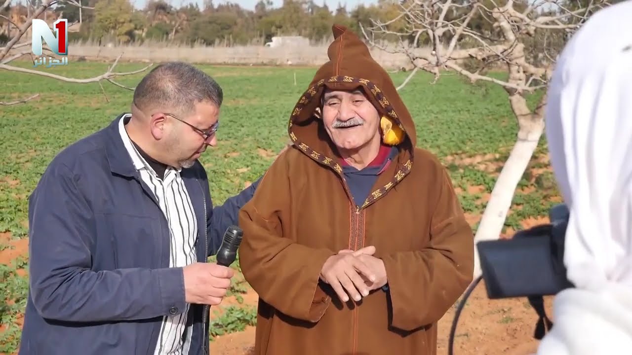 السلسلة الفكاهية 