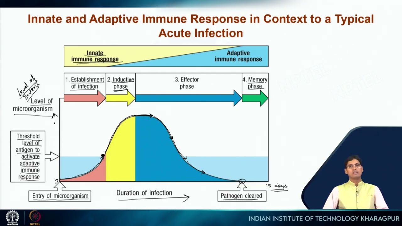 Lecture 47: Innate immunity: the first lines of defense #swayamprabha