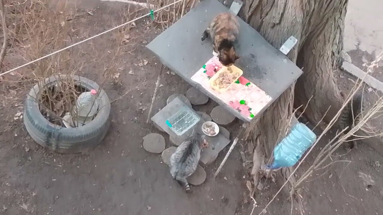 ВОТ ТАКОЙ ХЛЕБУШЕК!🍞😋