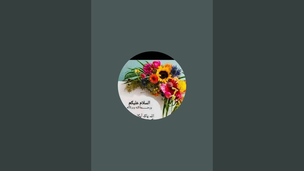 Tazeen kitchen426 is live!