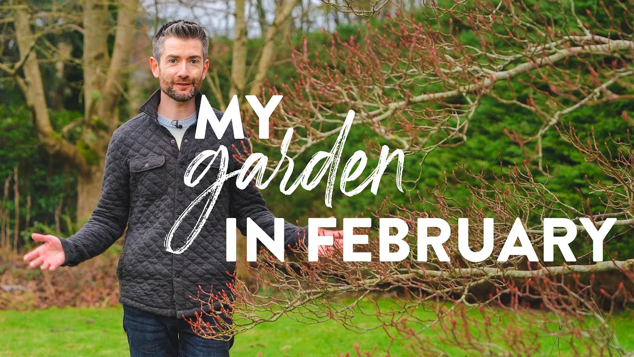 Spring Irish Garden Tour