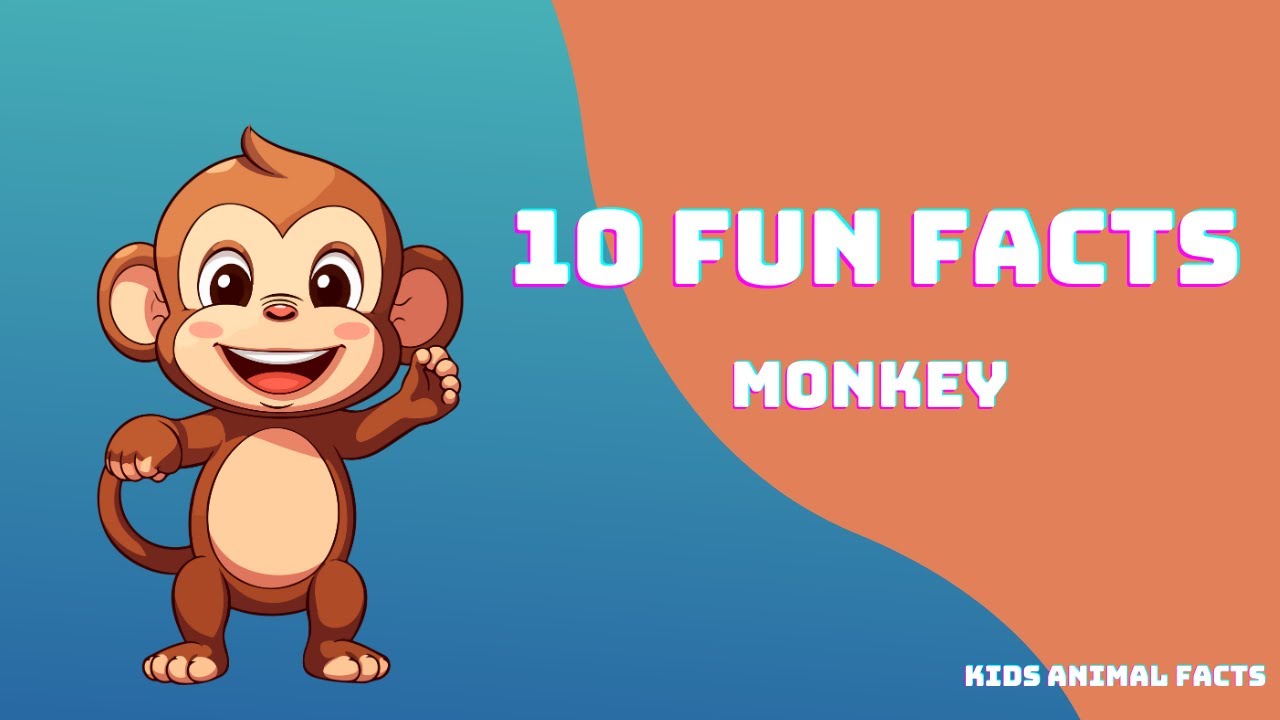 10 Fun Facts About Monkeys | Amazing Monkey Facts for Kids | Kids animal facts | Learn about monkeys