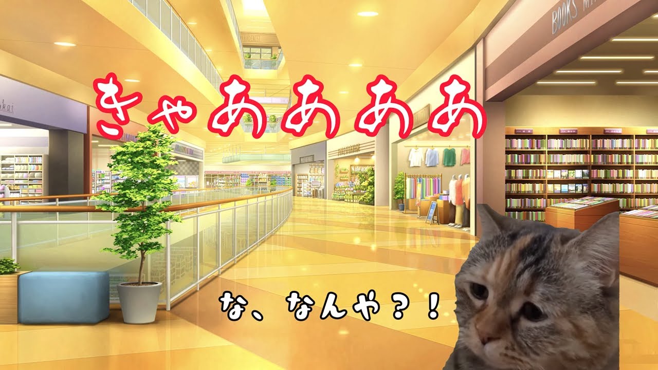 【猫ミーム】マッサージ店で店長として働いてた時の話