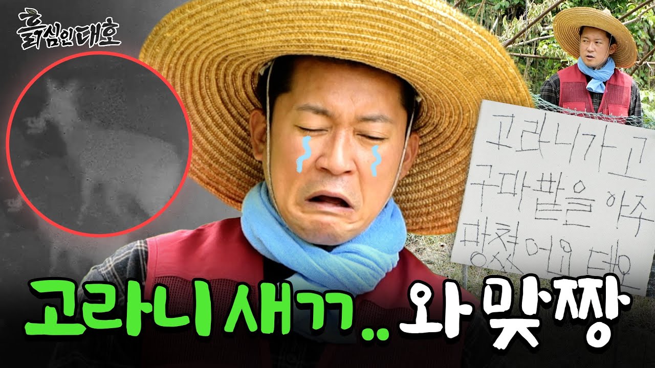 💥충격💥 고라니 진짜 계심｜야밤에 쑥대밭 만들어 놓고 간 고라니🦌와 전쟁을 선포한다!! 과연 대좋밭의 미래는?｜흙심인대호 5화