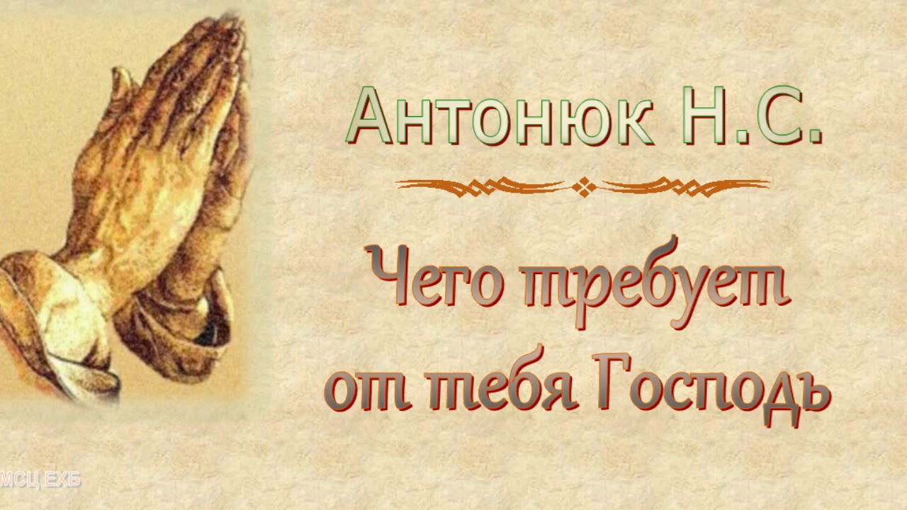 Антонюк Н.С. 