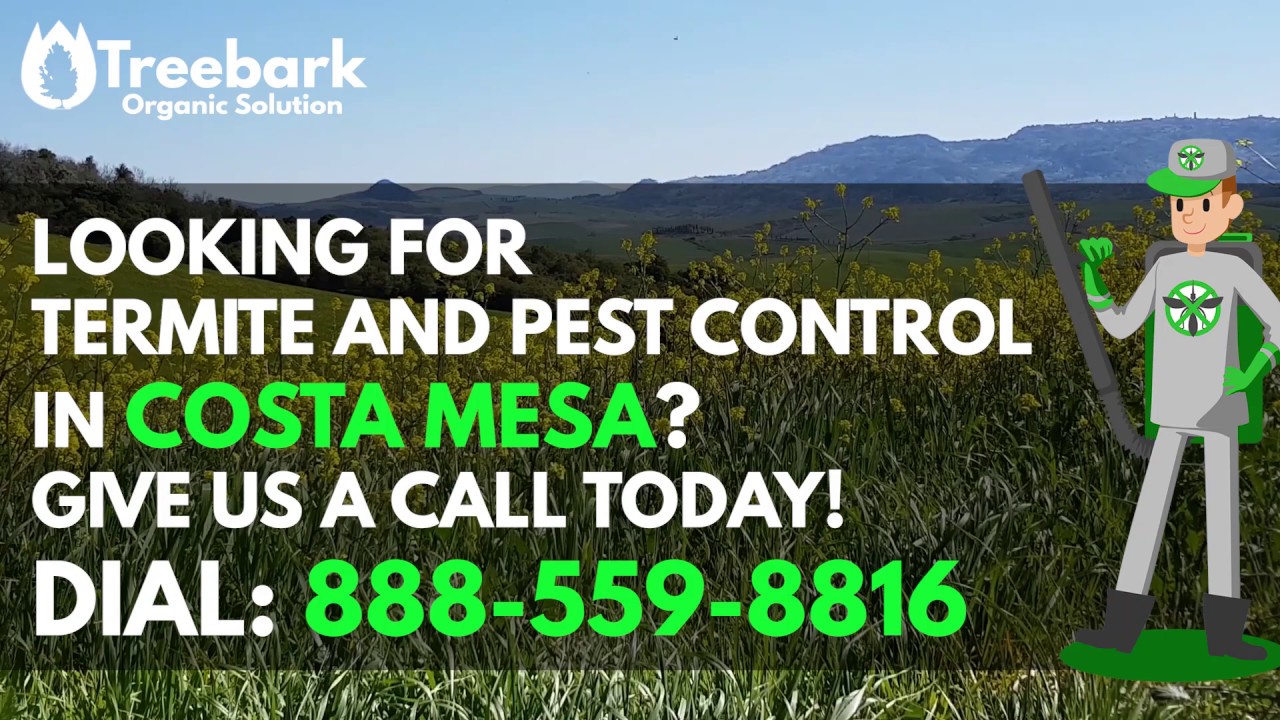 Costa Mesa Termite Control and Pest Control Company