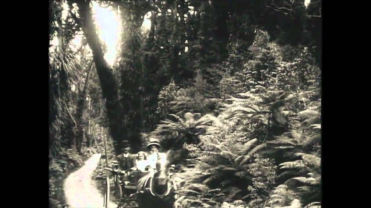 Moments in Time - Pelorus  Jack