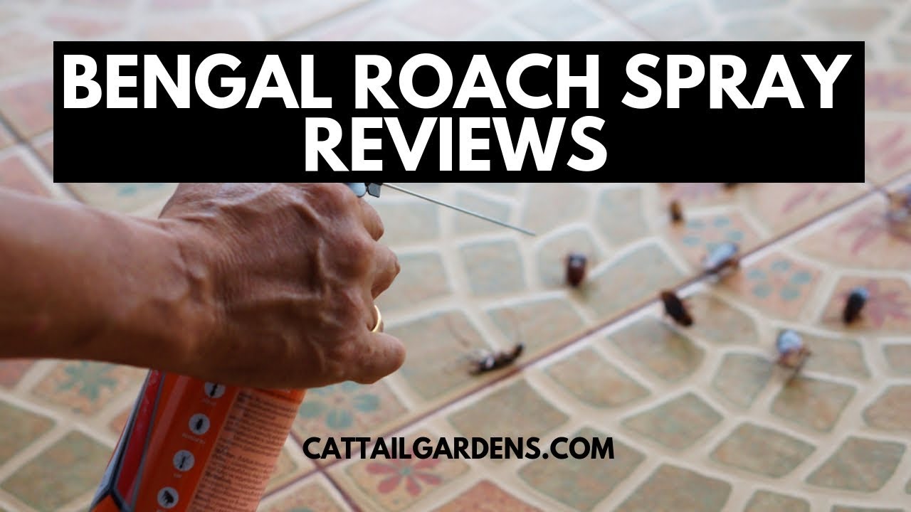 Bengal Roach Spray Reviews - How To Use Bengal Roach Spray #roachcontrol #pets  #roaches