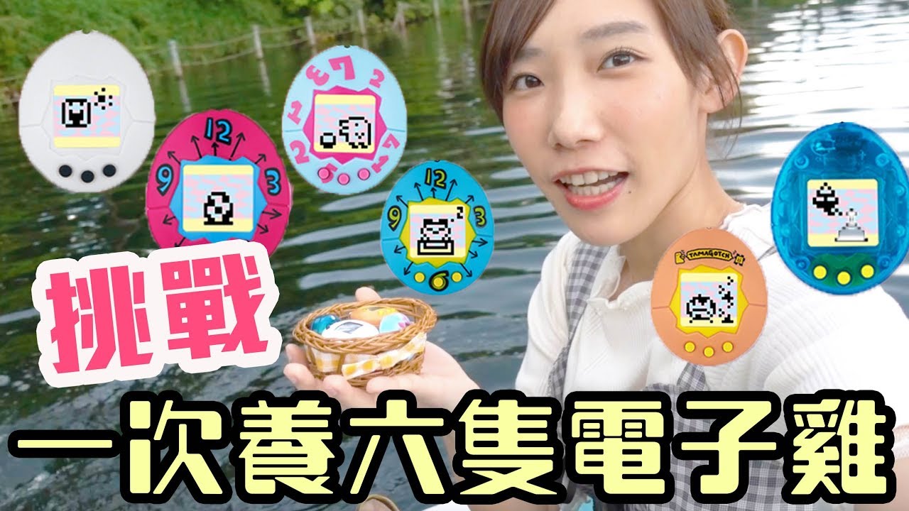 電子雞20週年復刻版！挑戰同時養六隻電子雞！| 安啾 (ゝ∀･) ♡