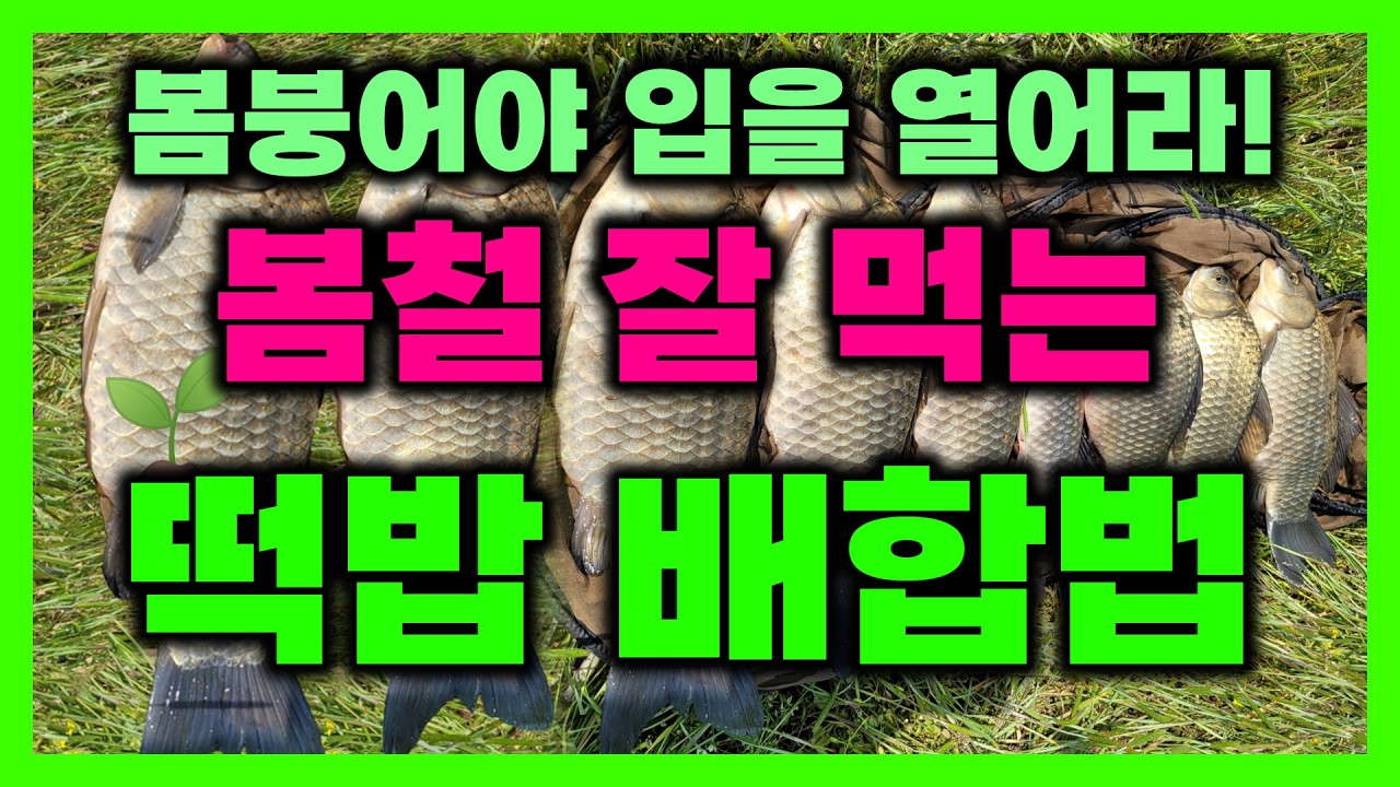 봄철 잘 먹는 떡밥배합법