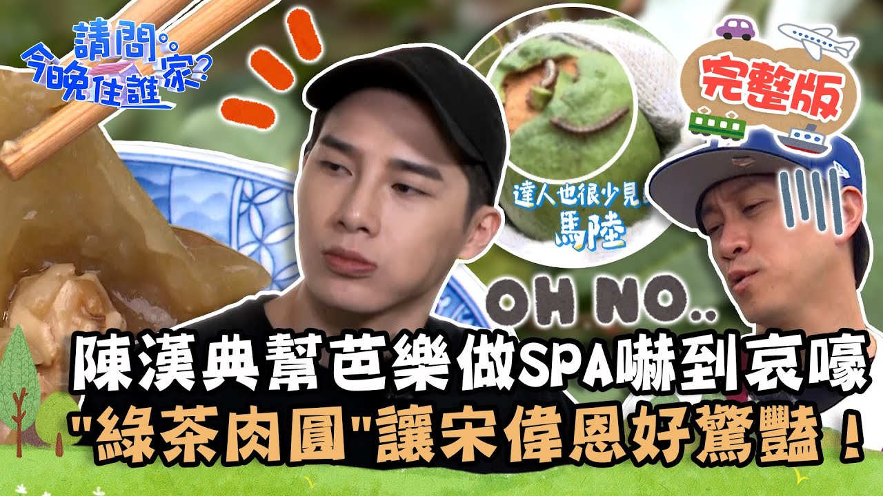 【花蓮】花蓮饗宴之旅！陳漢典幫芭樂做SPA嚇到哀嚎求救？「綠茶肉圓」讓宋偉恩好驚豔！📌瑞穗【請問 今晚住誰家】20230329 EP721 王傳一 陳漢典 宋偉恩