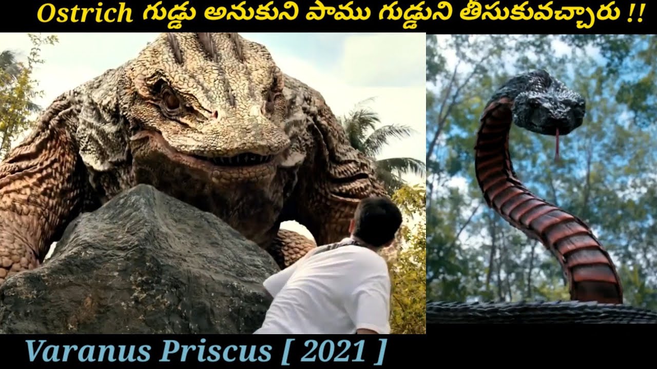 సాహసం చెయ్యాలనుకుని పెద్ద సమస్యలో ఇరుక్కున్నారు | Mandarian Movie In Telugu | Filmy Overload