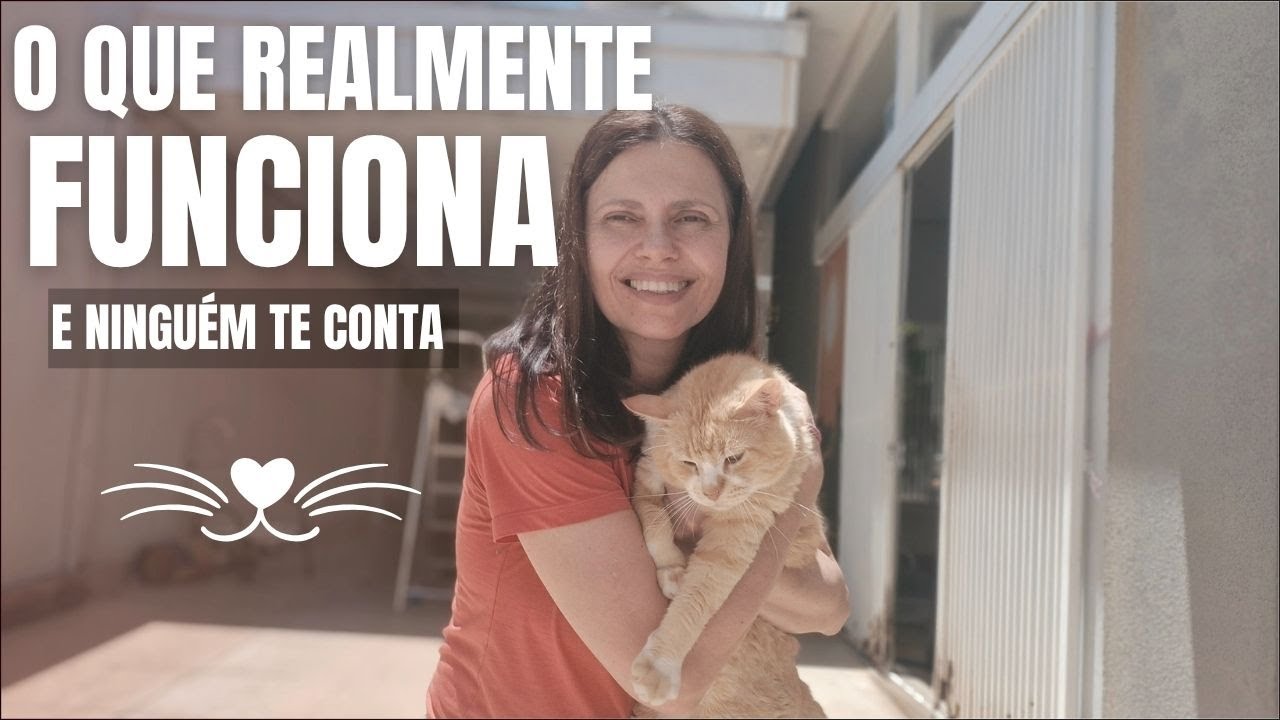 O que me ajudou a curar meus gatos ,mas ninguém indica !