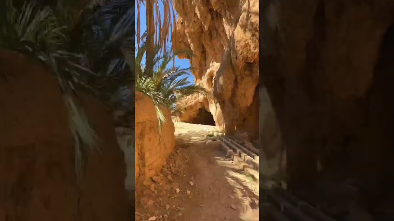 Time warp in paradise 🕰️🌵 Figuig, Morocco's hidden gem, unveiled in a flash!