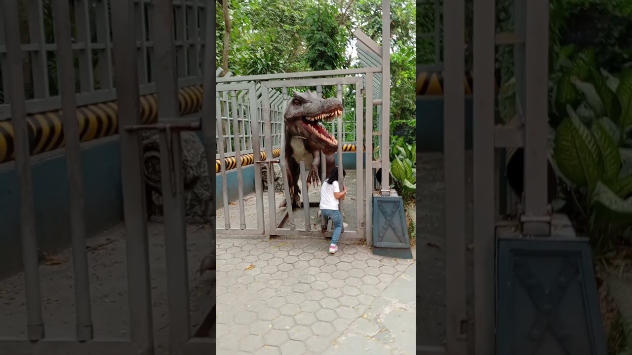 Dino Cage | Dinosaurs Island | Drey @ 6 Years & 5 Months