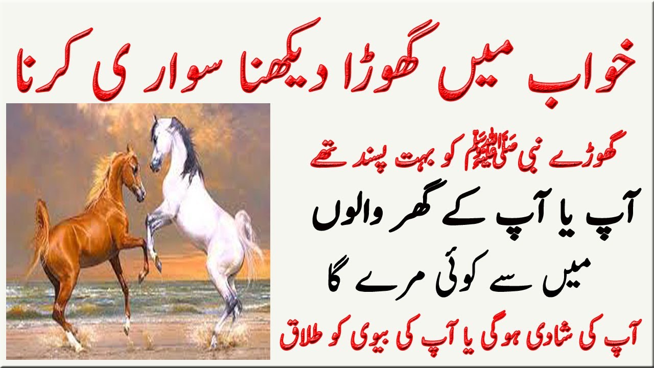 Khawab Main Ghora Dekhne Ki Tabeer Khawabon Ki Tabeer Main Horse Dekhna