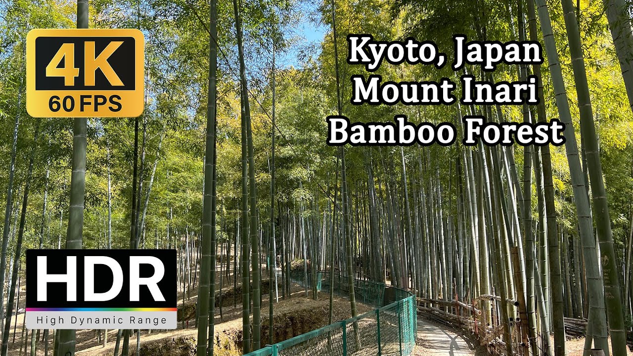 【4K60 HDR】 Walking in Kyoto: Mount Inari Bamboo Forest